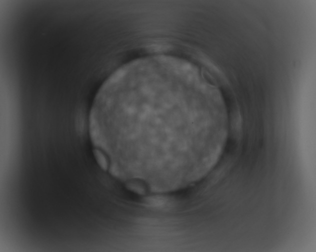 X0000100940417200807081239