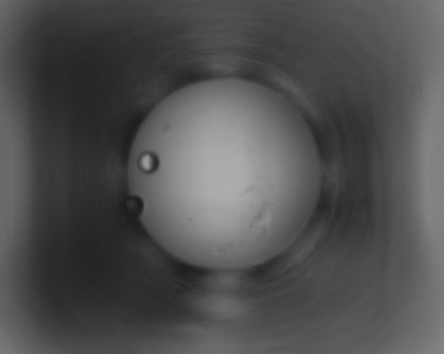 X0000100940418200807081239