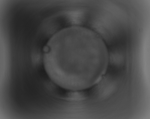 X0000100940419200807081239