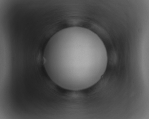 X0000100940420200807081239