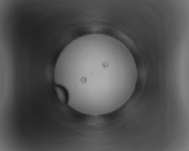 X0000100940421200807081239