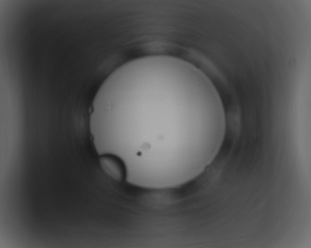 X0000100940422200807081239