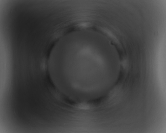 X0000100940423200807081239