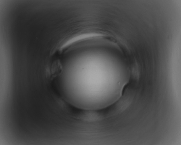 X0000100940424200807081239