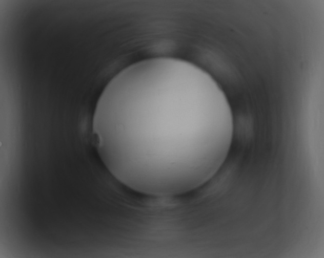 X0000100940428200807081239