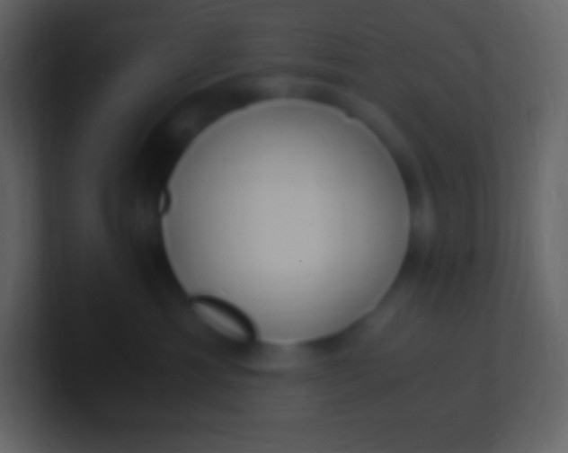 X0000100940429200807081239