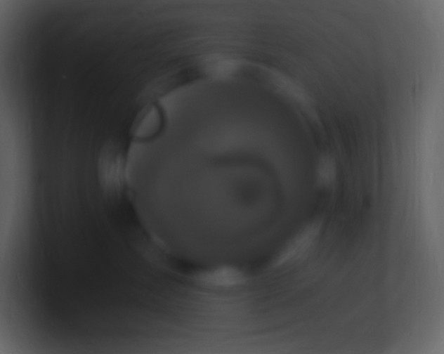 X0000100940431200807081239