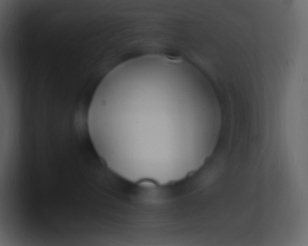 X0000100940432200807081239