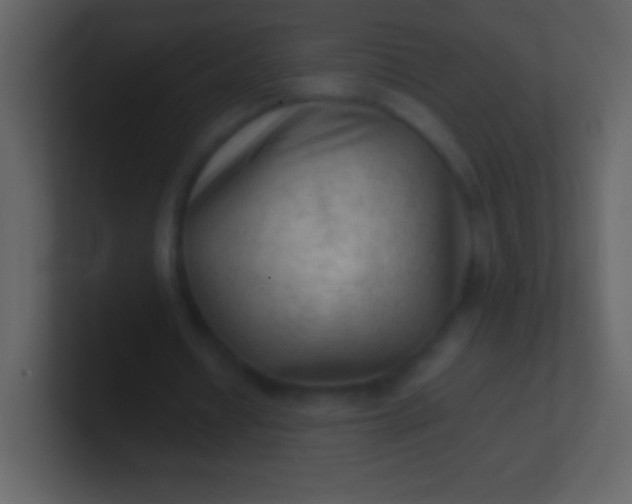 X0000100940434200807081238