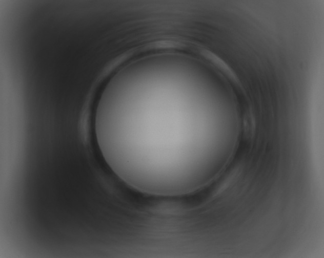 X0000100940436200807081238