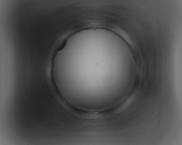 X0000100940437200807081238