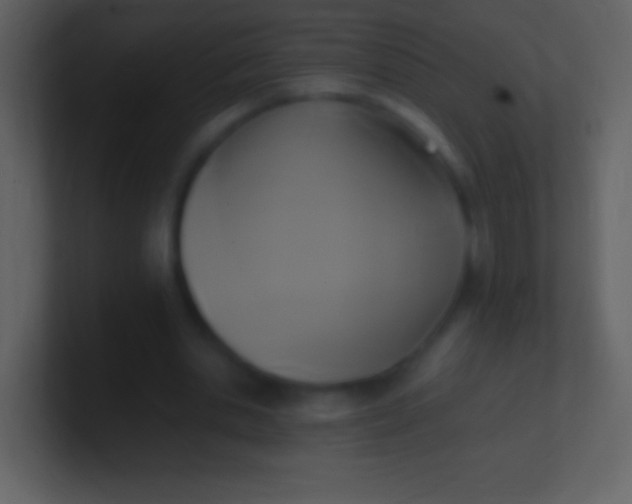 X0000100940438200807081238