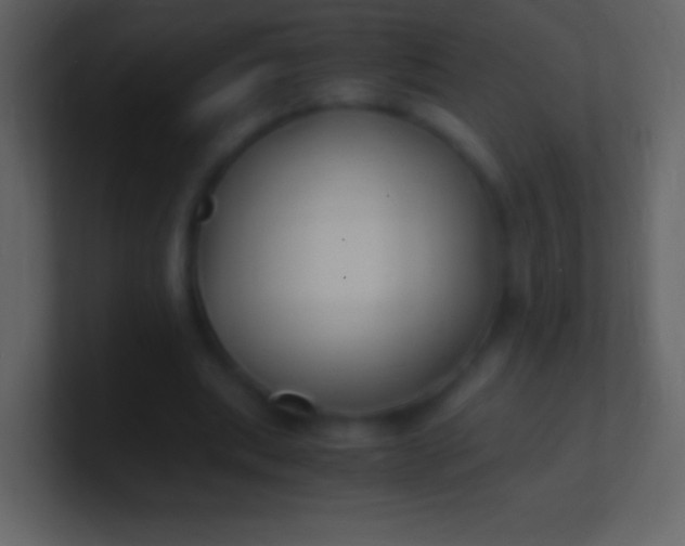 X0000100940439200807081238