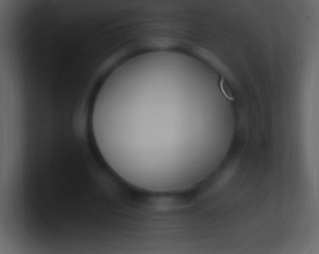 X0000100940440200807081238