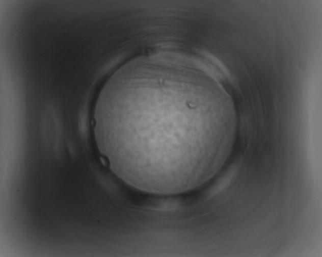 X0000100940443200807081238