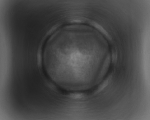 X0000100940444200807081238