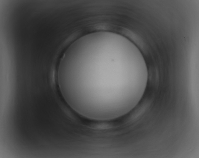 X0000100940445200807081238