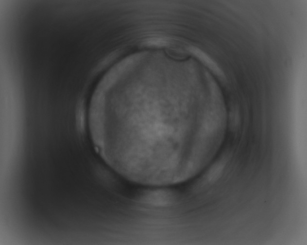 X0000100940446200807081238