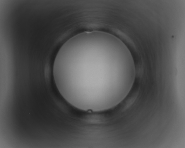 X0000100940448200807081238