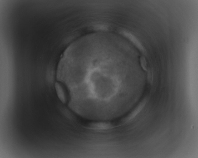 X0000100940449200807081238