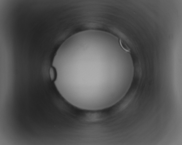 X0000100940450200807081238