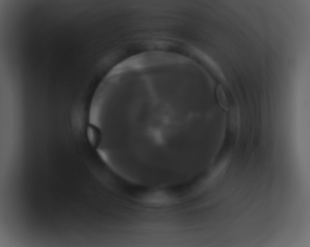 X0000100940451200807081238