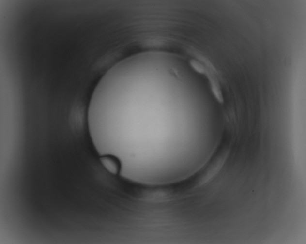 X0000100940454200807081238