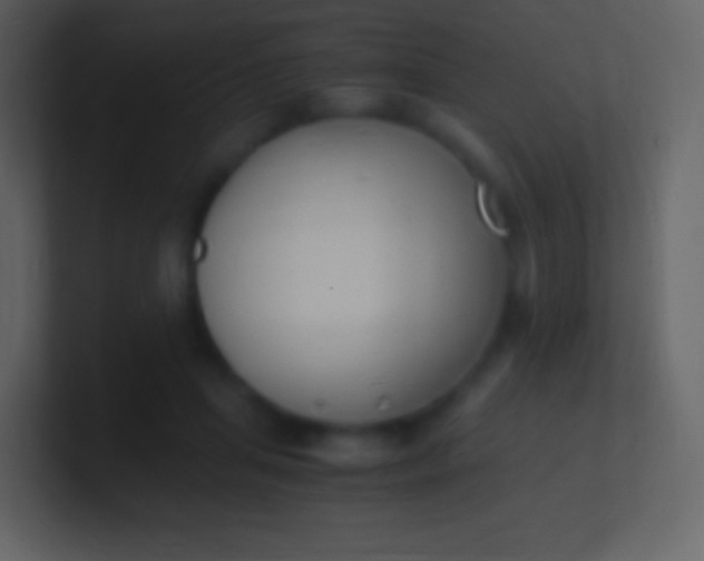 X0000100940455200807081238