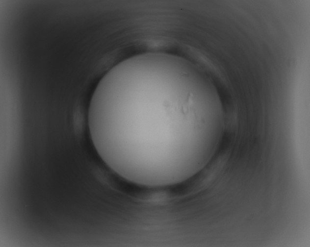 X0000100940456200807081238