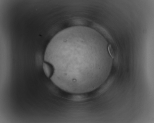 X0000100940457200807081238