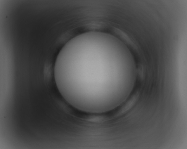 X0000100940458200807081238