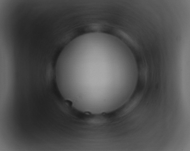 X0000100940459200807081238