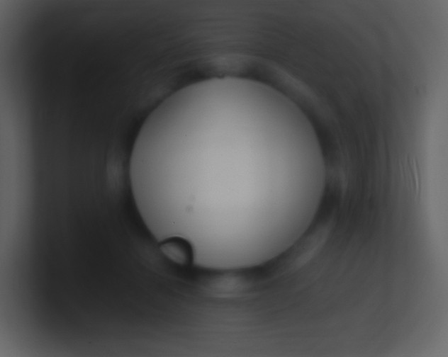 X0000100940460200807081238