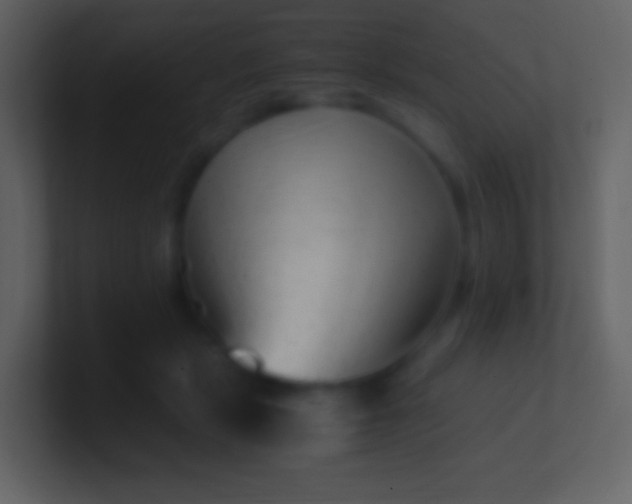 X0000100940461200807081238