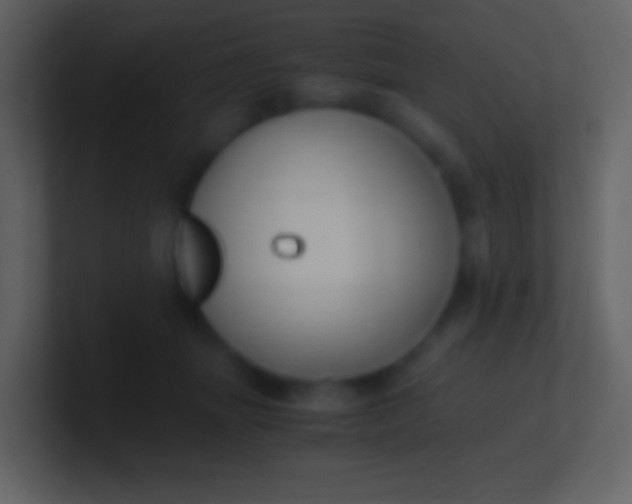 X0000100940463200807081238