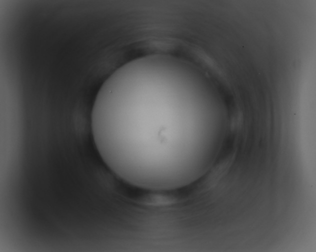 X0000100940464200807081238