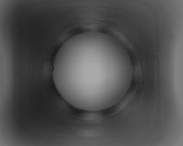 X0000100940466200807081238