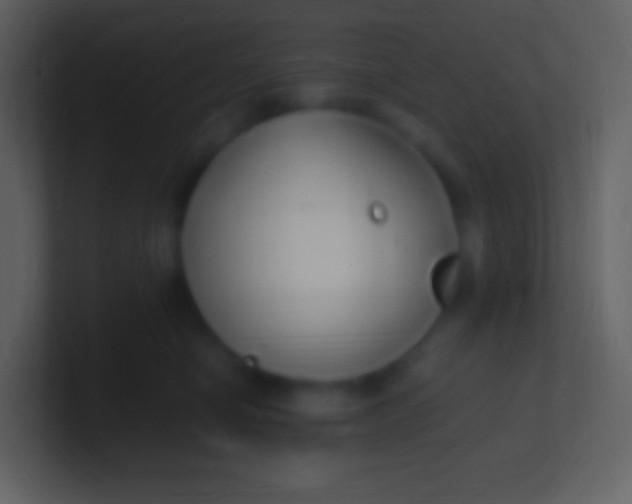 X0000100940470200807081238