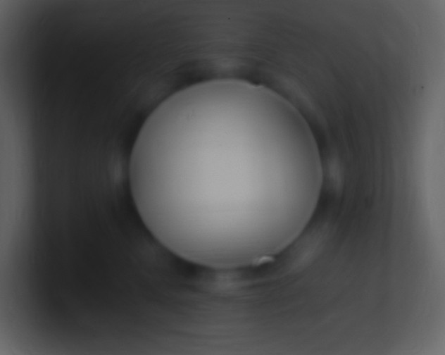 X0000100940472200807081238