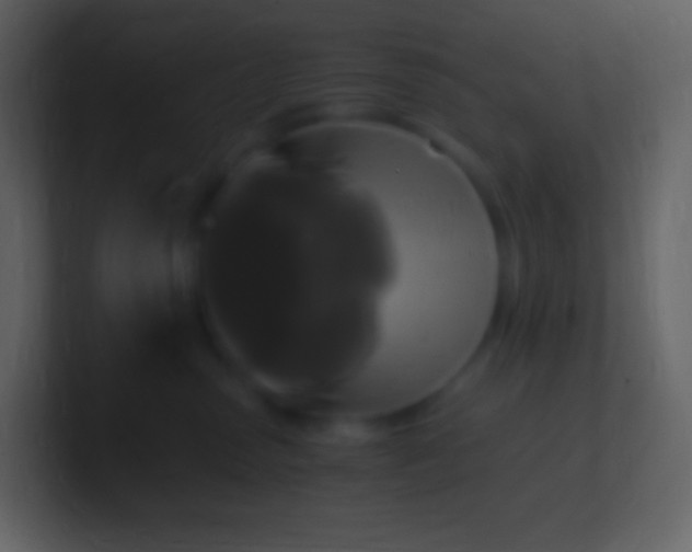 X0000100940475200807081239