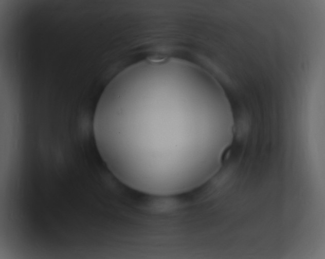 X0000100940476200807081239