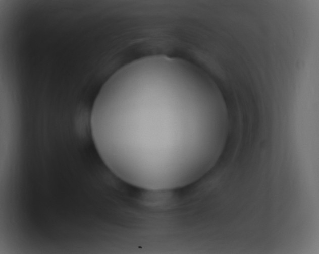 X0000100940480200807081239