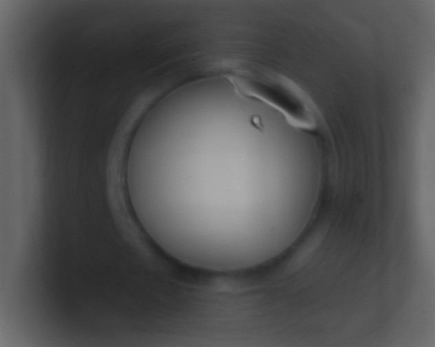 X0000100940481200807081238