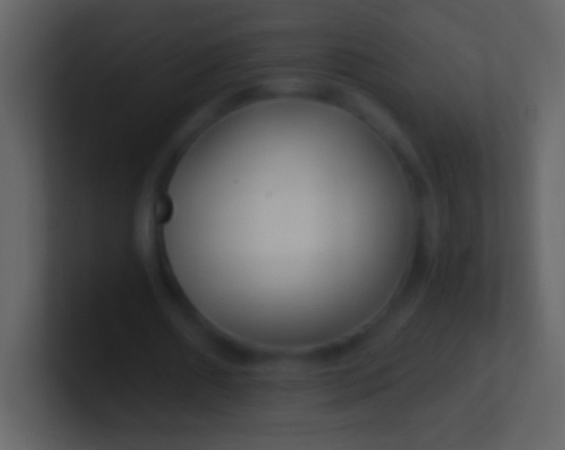 X0000100940482200807081238