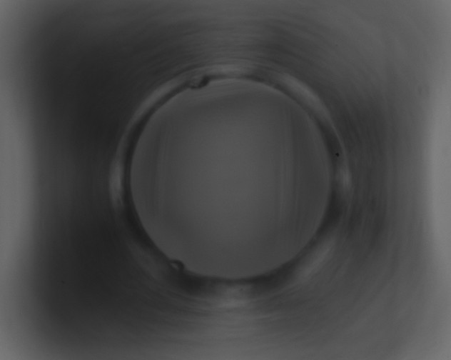 X0000100940484200807081238