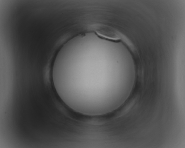 X0000100940485200807081238