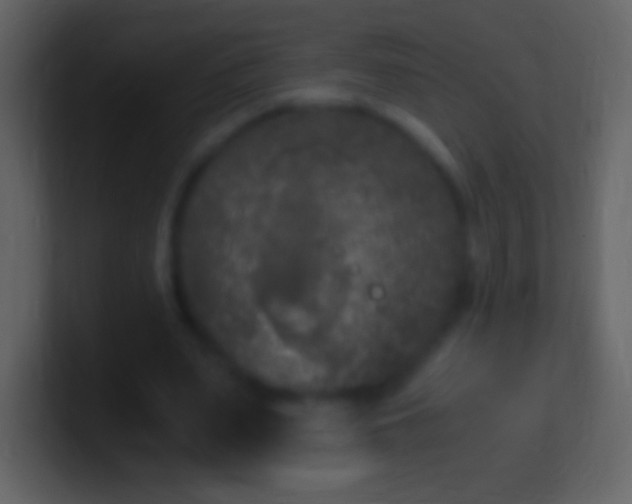 X0000100940487200807081238