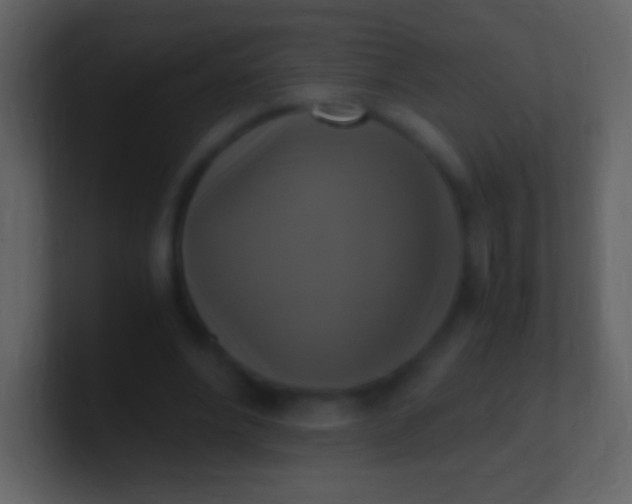 X0000100940488200807081238