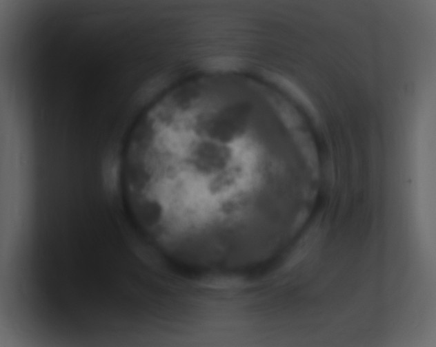 X0000100940491200807081238