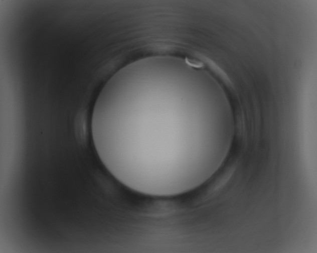 X0000100940493200807081238